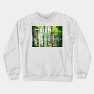 Beech tree wood Crewneck Sweatshirt